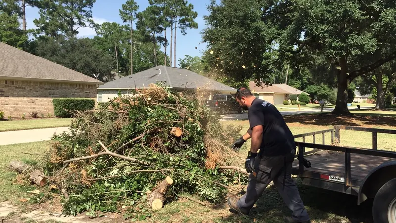Brush Removal in Cypress, TX